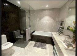 St. Regis Residences (D10), Apartment #565918231